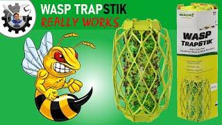 Wasp TrapStik - Really works to safely trap all types of wasps.