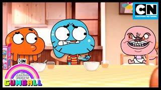 Anais: The Evil Genius | Gumball | Cartoon Network