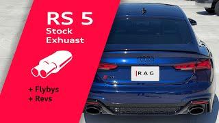 Stock Exhaust B9 2021 Audi RS5 Flybys, Revs, No Talking #audi #rs5