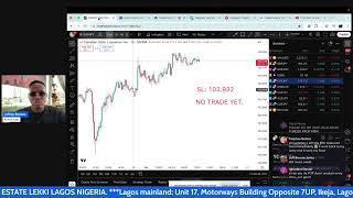 Live trading forex for beginners