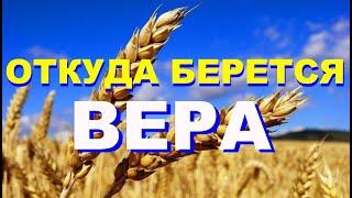 Откуда берется ВЕРА ?  (Короткая проповедь)