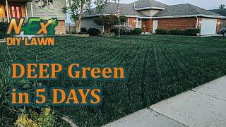 N-Ext Double Dark™ Plus Cocktail // N-Ext™ DIY Lawn Care Tips // DEEP GREEN IN 5 DAYS!!!