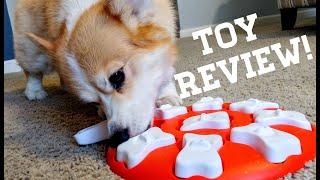 Toy Review: Nina Ottosson Dog Smart Beginner Dog Puzzle Toy