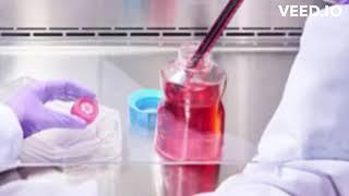 which media use for mammalian cell culture