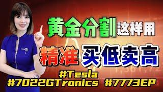 【股票买卖】终于有人把 #黄金分割线 的奥秘讲透了 #股票 #股票分析 #TESLA #7773EP #7022GTRONICS #抄底 #美股 #马股 #klse #科技股 #技术分析