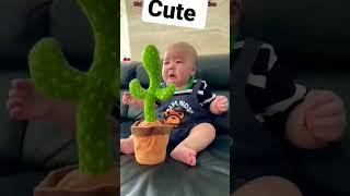 bayi lucu mainan kaktus  lucu #bayilucu #bayi #shorts