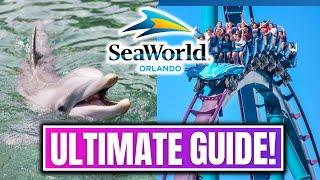 Seaworld Orlando - Everything You Need To Know About The Park!