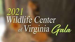 2021 Wildlife Center of Virginia Gala