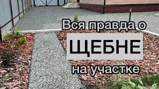 ПОДРОБНОЕ видео о ЩЕБНЕ на участке! Плюсы, минусы, уход, стоимость.