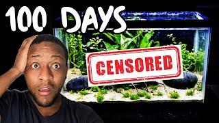 No aquarium maintenance for months. What could go wrong?