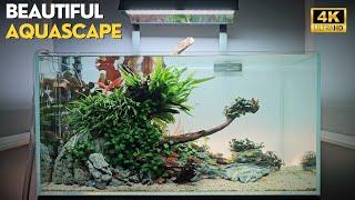 Relaxing Living Room PLANTED AQUARIUM | Plants & Fish labelled