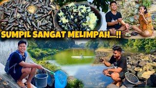 KEONG SUMPIL SERAPAH..‼️MELIMPAH BANGET DI SINI GESSS HABITAT DAN EKOSISTEMNYA MASIH TERJAGA…