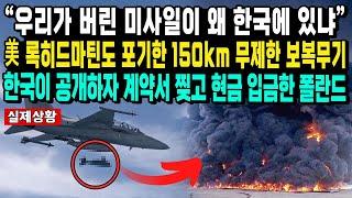 “우리가 버린 미사일이 왜 한국에 있냐” 美 록히드마틴도 포기한 150km 무제한 보복무기 한국이 공개하자 계약서 찢고 현금 입금한 폴란드