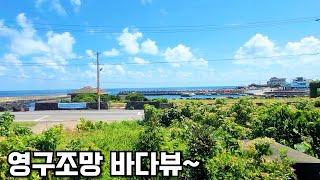 [제주도 부동산경매] 아늑한 바다뷰를 품은 돌집이 있다는데~ 실제현장영상(2024타경2601-2#)