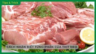 PHÂN BIỆT TỪNG PHẦN CỦA THỊT HEO và CÁCH CHẾ BIẾN MÓN ĂN phù hợp - Bách hoá XANH