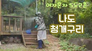 50대1인가구/나도 청개구리/5도2촌/산골생활/눈을크게뜨고 다녀야한다