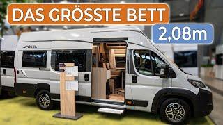 XXL headroom and bed size - Pössl Roadcruiser XL 2025 - from 61,499 €