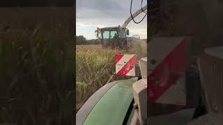 Claas Jaguar