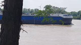 Frachtschiff  auf dem Rhein bei Rees flussabwärts