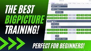THE BEST Bigicture Training for beginners!