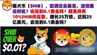 柴犬币（SHIB），回调还会暴涨，进场最近时机？会涨到0.1美金吗？鲸鱼持有10%SHIB供应量，增长25万倍，达到25亿美元，最初投资仅1万美元，会涨到0.1美金吗#shib币#柴犬币#屎币行情分析