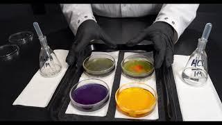 pH Buffer Solution