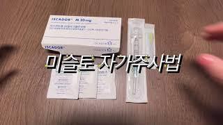 의료인이 알려주는 미슬토 자가주사법  mistletoe 이스카도르 아브노바 헬릭소 injection south korea