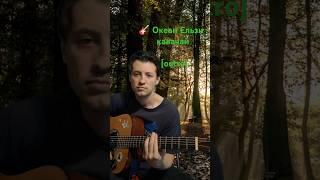 Okean Elzy - kavachay [outro] guitar cover #guitar #shorts