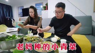 老妈种的小青菜，从天津拎回大连，卷上干豆腐和毛葱，吃着嘎嘎香#夫妻日常 #平平淡淡小日子 #农村生活 #干豆腐卷大葱 #农村美食