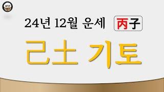 24년 12월 갑진년 병자월 - 기토 일주 월운세-