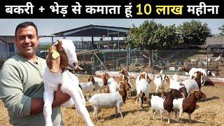 इंजीनियर साहब की सफल Goat + Sheep Factory | Goat Farming | Goat Farm Tour