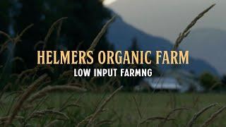 Organic Innovation Series Episode 1: Low Input Farming -  Helmer's Organic Farm