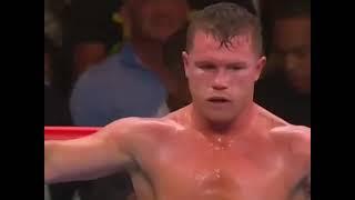 Canelo Alvarez knockout in light heavy weight