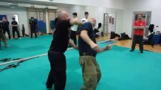 Systema siberian cossack, tecniche di pugilato