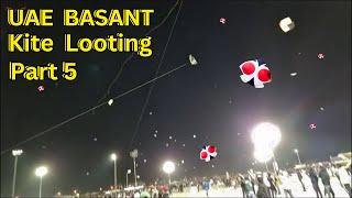 UAE  BASANT 2024 - KITE LOOTING - KITE FLYING - PATANG BAZI - PART 5