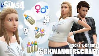 Alles über Schwangerschaft! │Tricks & Cheats: Schwangerschaften