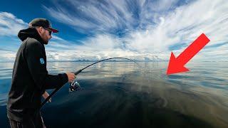 Hier beißen nur RIESEN Fische  | Norwegen Vlog III