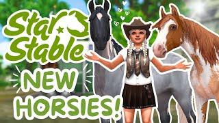 mini shopping spree + a yapathon  star stable online