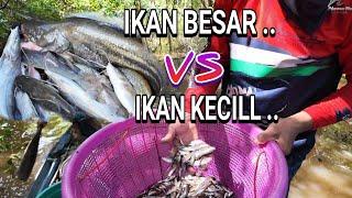 MUDAHNYA CARI IKAN DI NEGERI INI .. PENGHASILAN MENCARI IKAN KECIL SAMPAI 1 JT / HARI ..  .. ..