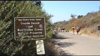 Surf Bike / Fatbike Ride Trestles to Old Man's