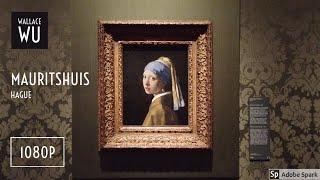 [1080P] Walking in Mauritshuis Museum the Hague - 海牙莫瑞泰斯皇家美術館