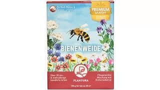  Plantura Bienenweide, 150 g, ein- & mehrjährige Bienensamen 