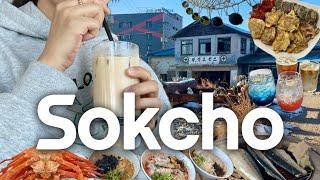 Sokcho Travel Vlog    Must-Visit Course Recommendations!