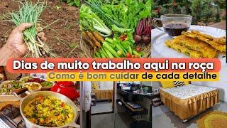 Dois dias comigo | plantando e colhendo na horta | almoço delicioso | rotina do lar e mais