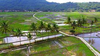 Wow Inilah, Surganya Kampung Tersubur, Dengan Jalan Anti Becek Sepanjang 1,5 km, Pedesaan Jawa Barat