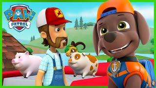 Les chiots sauvent les animaux et la ferme inondée! - PAW Patrol dessins animés pour enfants