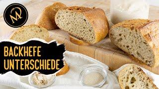 Was sind die Unterschiede zwischen Frischhefe, Trockenhefe und Sauerteig? Meine Analyse dazu!