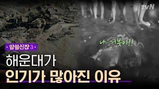 [#알쓸신잡3] 3만명의 인파를 해운대로 모이게 만든 거북이의 정체는?