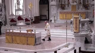 Catholic Sunday Mass – November 24th, 2024