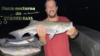 BOSTON NIGHT FISHING FOR STRIPED BASS. head Island